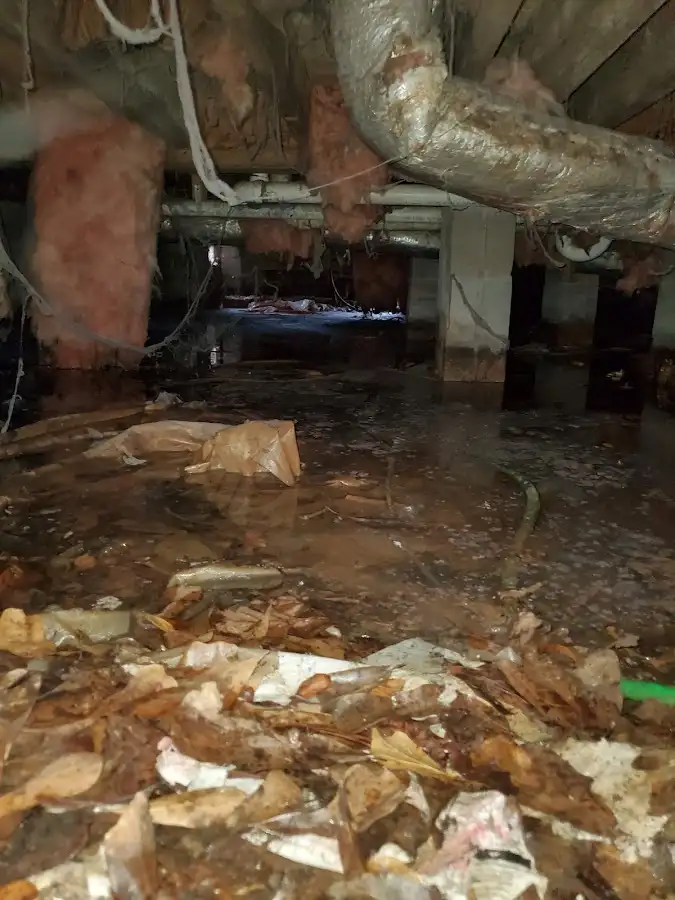 Crawl space flood assessment for Leak Detection & Repair in Fowler