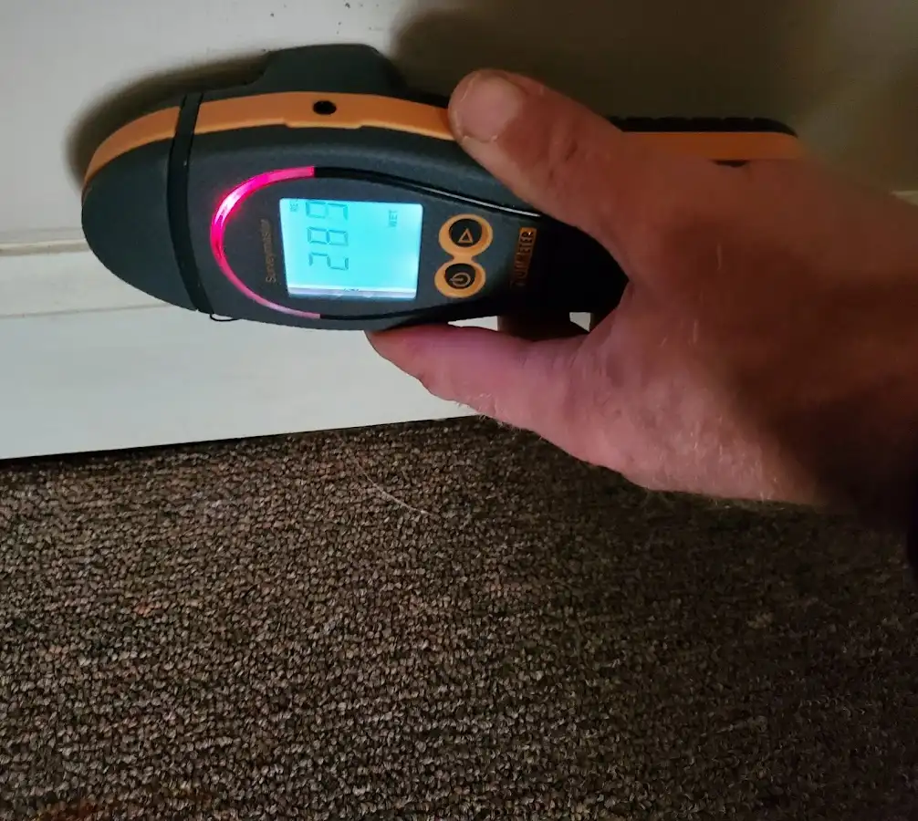 Moisture detection at baseboard during Mold Inspection & Testing in Fowler